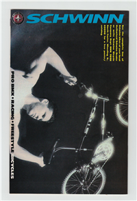 AMAZING SPIDER-MAN  #317     (Marvel, 1989)