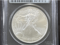 2010 American Eagle Uncirculated Silver Dollar 