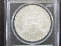 2010 American Eagle Uncirculated Silver Dollar 