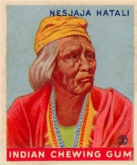 (R73)   1933  Goudey Indian Chewing Gum Card #199    Nesjaja Hatali