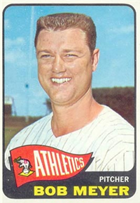 1965 Topps Baseball  Card #219  Bob Meyer