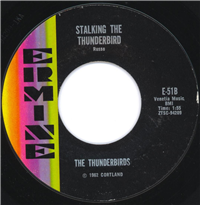 THE THUNDERBIRDS     Steel    (Ermine  51,  1962)   45 RPM Record