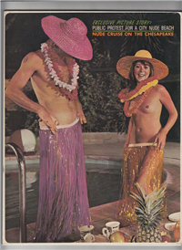 METROPOLITAN JAYBIRD  Vol. 1 #1    (SunEra, Inc. , January, February, March, 1966) 