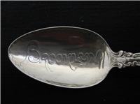 Louis XV Sterling 5  3/4" Souvenir Spoon. Brooklyn   (Whiting, #1891) 