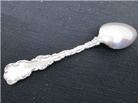 Louis XV Sterling 5  3/4" Souvenir Spoon. Brooklyn   (Whiting, #1891) 