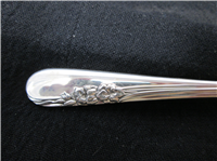 Blossom Time Sterling 6" Teaspoon   (International, #1950) 