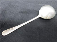 Blossom Time Sterling 5  7/8" Sugar Spoon   (International, #1950) 