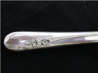 Blossom Time Sterling 9  1/4" Dinner Knife   (International, #1950) 