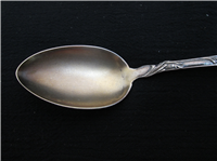 Floral pattern  Sterling 5 5/8" Teaspoon   (Codding Bros. & Heilborn) 