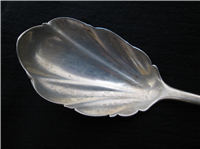 Antique Sterling 5 5/8" Sugar Shell   (J.S.S. & Co Joseph Seymour & Son, 1887-1898) 