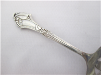 Dots, Pierced Tip Sterling 5" Bon Bon Spoon   (Webster Co) 