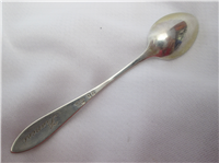 No. 20-C Sterling 4" Demitasse/ Infant Spoon   (Gorham, #1885) 