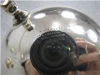 Floral Cross Hatching Sterling 5" X 7 1/4" Tea Pot   (Tiffany & Co, #4531) 