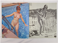 SUNTAN  #6    (Outdoor American Corp., 1963)  