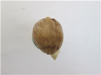 I'LL PROTECT HIM Figurine (Hummel 483, TMK)