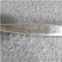 Contour Sterling Silver 7 inch Dinner Spoon   (Towle #1950) 