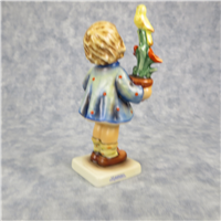 Congratulations 7 Hummel 17/0 TMK 7