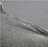 White Paisley Sterling 6" Teaspoon  (Gorham #1966) 