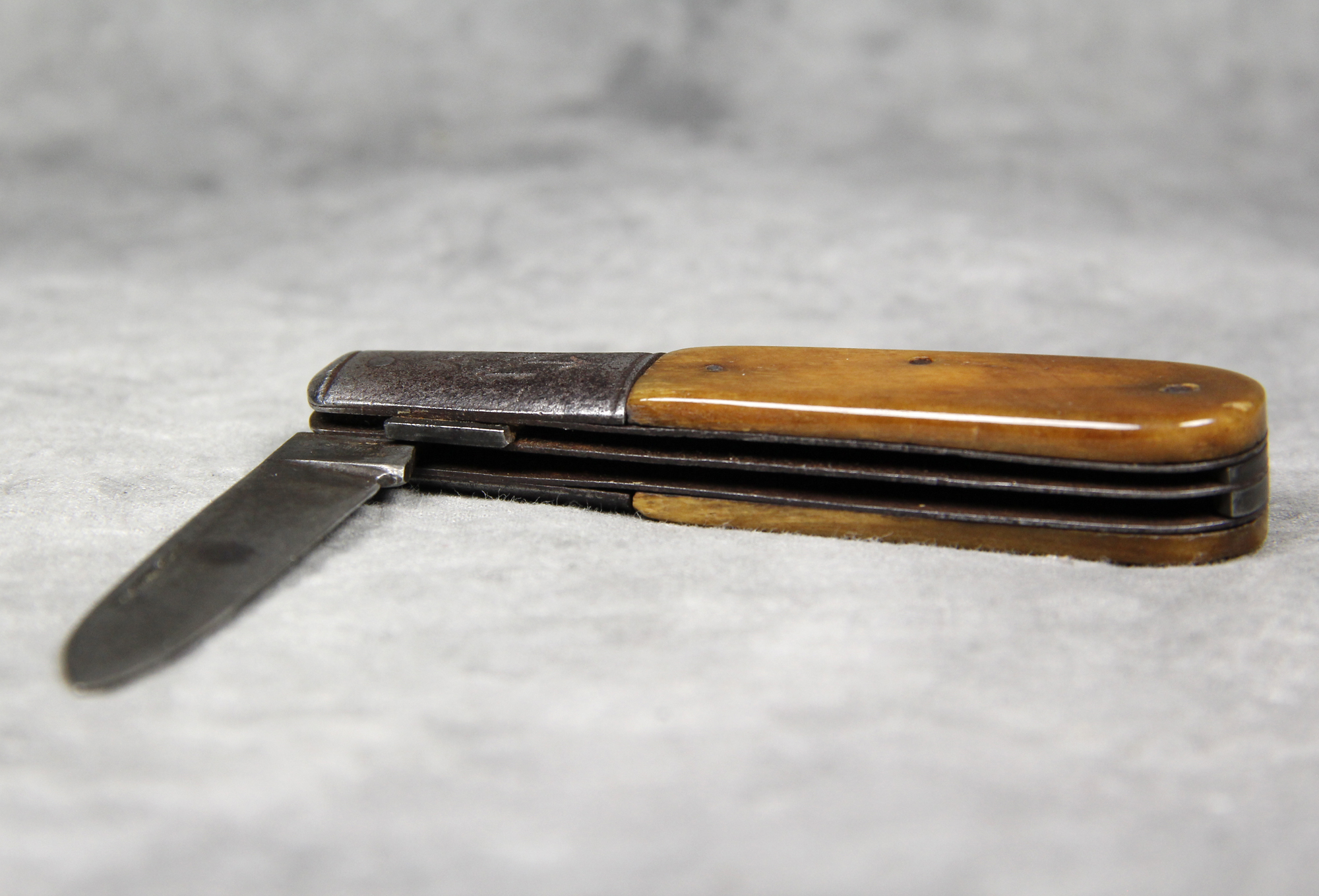 How much is HAMMER BRAND Smooth Bone Barlow worth? Price