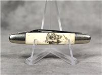 FROST CUTLERY Scrimshawed Smooth Bone "Little Savage" Pen Knife