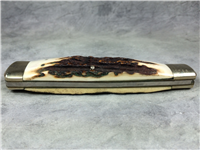 TAYLOR CUTLERY Limited Edition Elk Horn Surgical 1979 Stag Folding