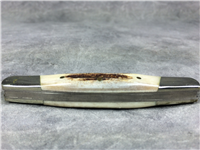 AMERICAN BLADE AB-25 Stag Muskrat