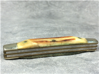 PARKER IMAI Stag 4-Blade Congress