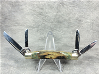 PARKER IMAI Stag 4-Blade Congress