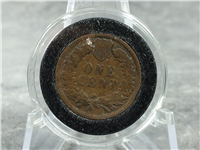 1993 Case SC6254 SS Natural Indian Head Penny Trapper