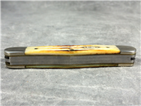 1995 CASE XX BRADFORD SC6308 SS Bone Whittler