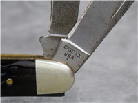 1979 CASE XX USA 6347 HP Jigged Bone Stockman