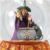 BREWING UP TROUBLE 6 inch Musical Snow Globe (Jim Shore, Enesco, 4015696, 2009)