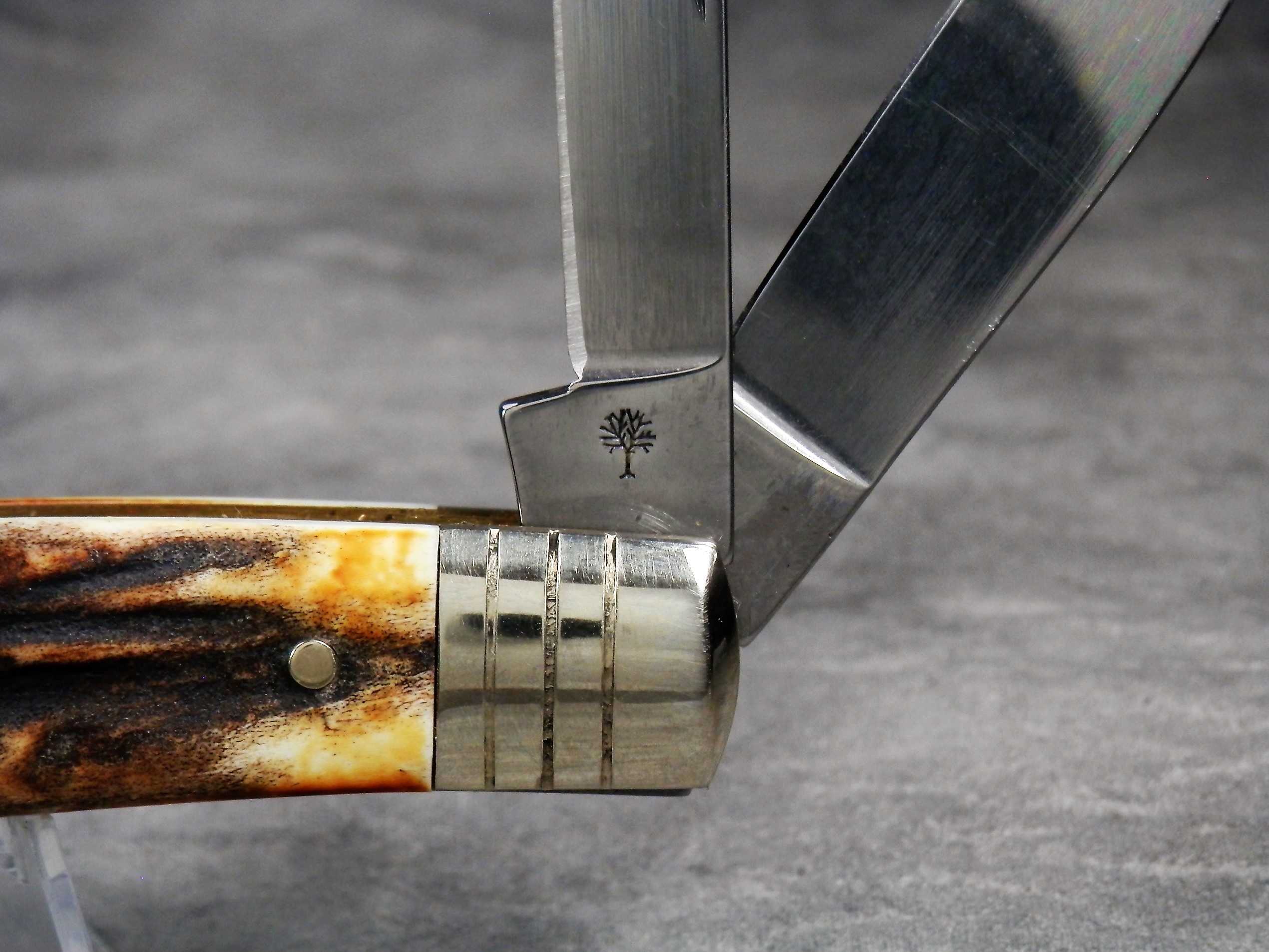 How much is BOKER TREE BRAND CLASSIC 5474 Stag Jumbo Congress worth ...