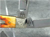 2004 Case TB62110 SS Autumn Saddlehorn