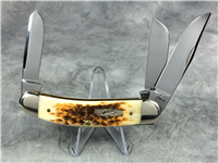 2001 Case TB6339 SS Amber Peachseed Tony Bose Sowbelly