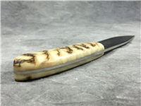 ARNO BERNARD KNIVES 7-5/8" N690 Rams Horn Warthog Grazer Knife