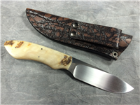 ARNO BERNARD KNIVES 7-5/8" N690 Rams Horn Warthog Grazer Knife