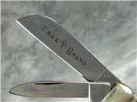 BOKER TREE BRAND Red Jigged Bone Congress  with Blade Etch