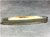 2013 Case 6318 CV Amber Stockman