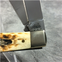 2005 Case 6254 CV Amber Trapper