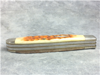 1990 CASE XX BRADFORD, PA 6207 SP SSP Jigged Bone Mini-Trapper Knife