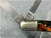 BULLDOG BRAND Tortoise Shell Celluloid Handmade Congress