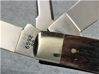 1982 Ltd Ed NKCA Decade of Growth CASE XX USA 6592 SS 1980 Texas Camper Knife