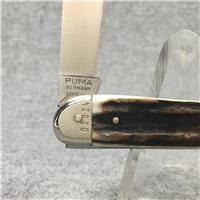 A.G. RUSSELL PUMA Ltd Ed 1900 - 1974 LUGER PISTOLE 08 Stag
