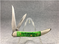2010 Case 620096 SS Bring Green Limited Edition Toothpick