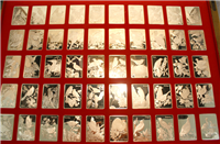 The National Governors' Conference Official State Ingots (aka Birds and Flowers Ingots)   (Franklin Mint, 1977)