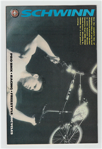 AMAZING SPIDER-MAN  #315     (Marvel, 1989)