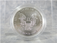 2013-W American Eagle Enhanced Uncirculated Silver Dollar