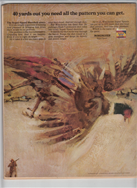 SPORT     (MacFadden,  November,  1969)  Gayle Sayers