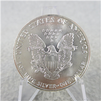 1989 American Eagle Uncirculated Silver Dollar 